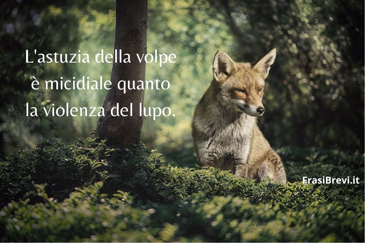 Frasi sulle volpi: La raccolta più carina di sempre - Frasi Brevi