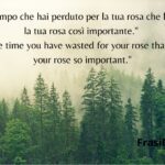 Quotes of the Little Prince translated into Italian
