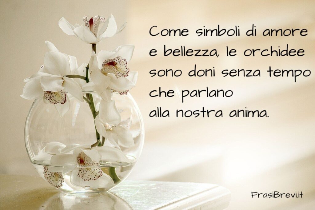 Frasi sulle orchidee
