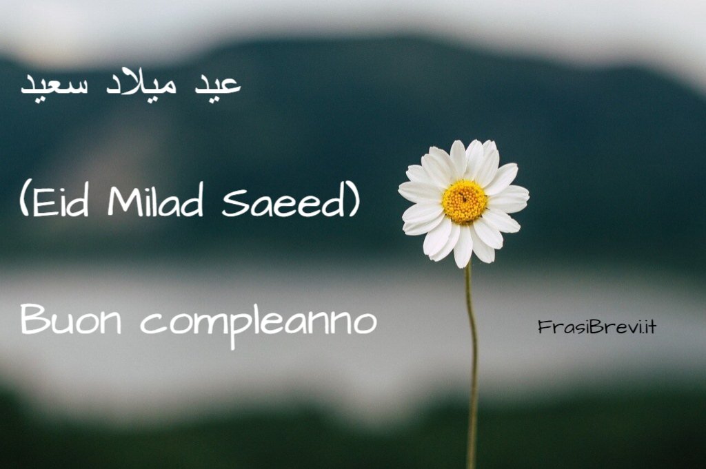 frasi di auguri di compleanno in arabo