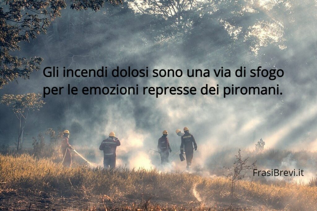 Frasi sugli incendi dolosi